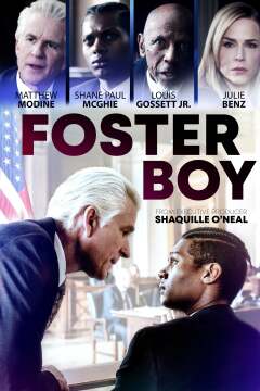 შვილობილი ბიჭი ქართულად - Foster Boy