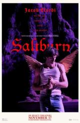 სოლტბერნი ქართულად - Saltburn