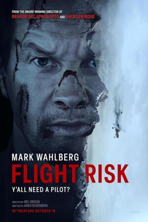 სახიფათო რეისი ქართულად - Flight Risk