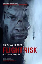 სახიფათო რეისი ქართულად - Flight Risk